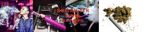 молекула духа Кущёвская