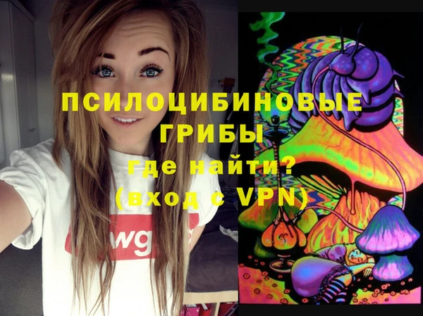 соль курить ск Иноземцево