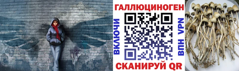 Галлюциногенные грибы MAGIC MUSHROOMS  Купить закладки  Сокол 